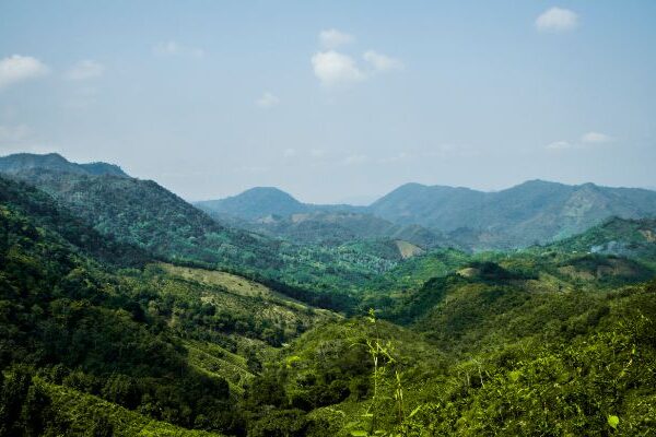 Cordillera de la región andina