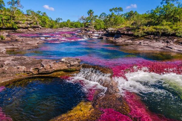 Actividades económicas de la región Orinoquía