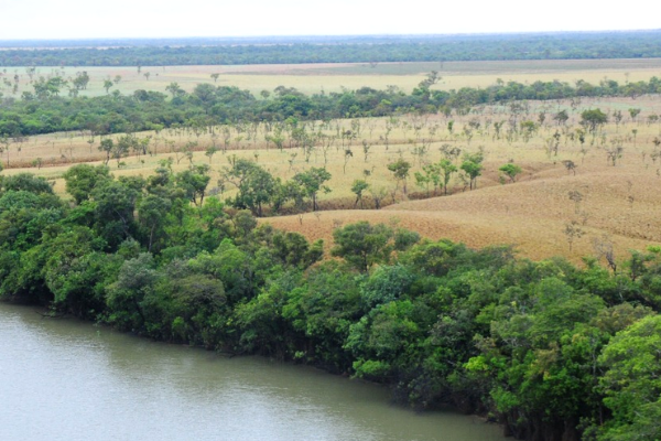Clima de la región Orinoquía