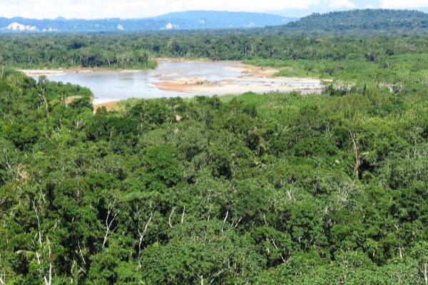 Fauna de la región amazónica