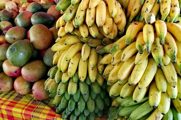 Frutas típicas de la región caribe