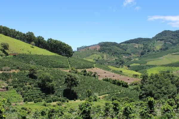 Montañas de la región Orinoquía
