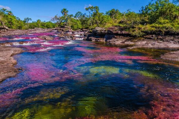 Parques naturales de la región Orinoquía