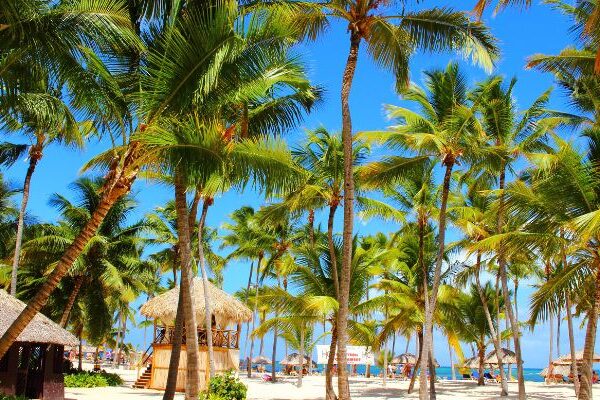 Plantas de la región caribe