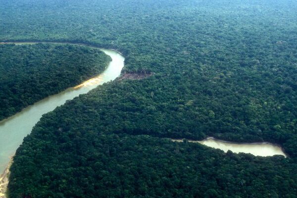 Recursos naturales de la región amazónica