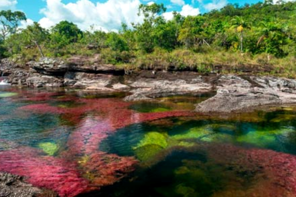 Sitios turísticos de la región Orinoquía